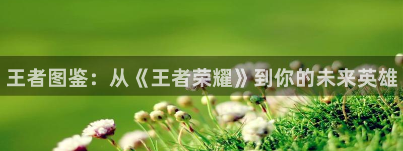 哔咔漫画picacg下载地址：王者图鉴：从《王者荣耀》到你的未来英雄