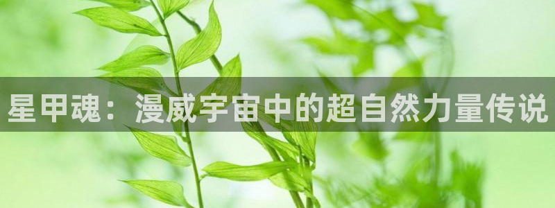 哔咔漫画污
